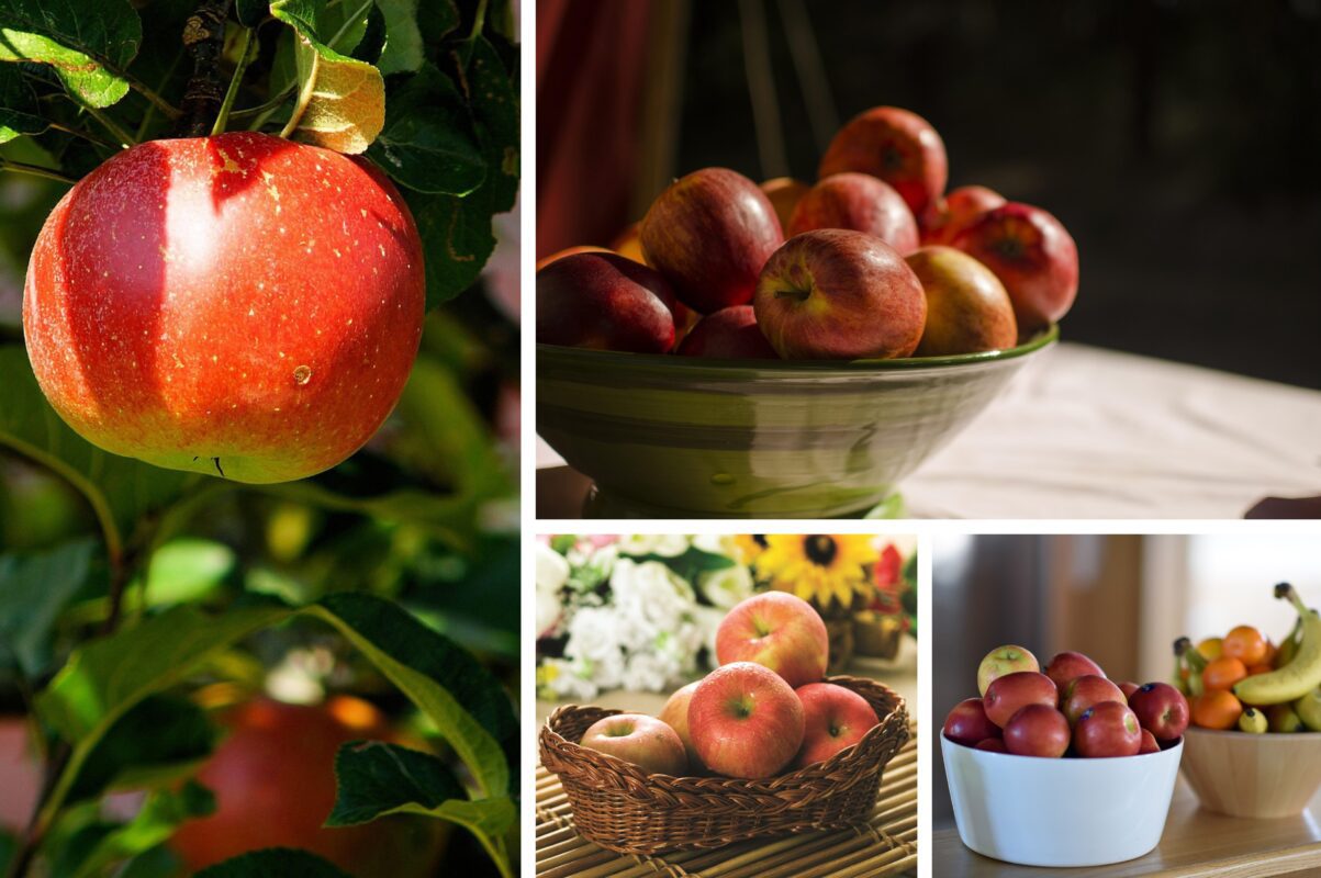 Агроном розповів, як повернути старій яблуні урожайність