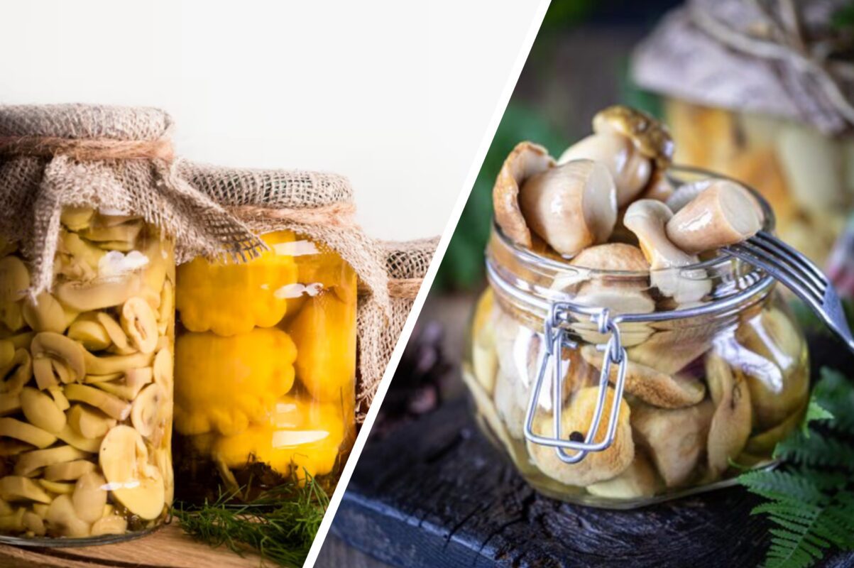 Кулінари розповіли, як приготувати мариновані опеньки на зиму