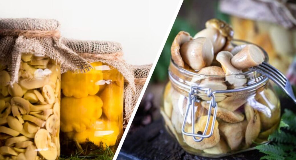 Зі столу зникають одразу! Ці мариновані опеньки – справжній скарб: як їх приготувати 