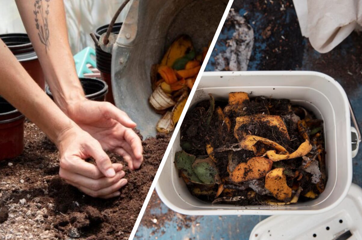 Городники розповіли, як приготувати осінній компост без помилок