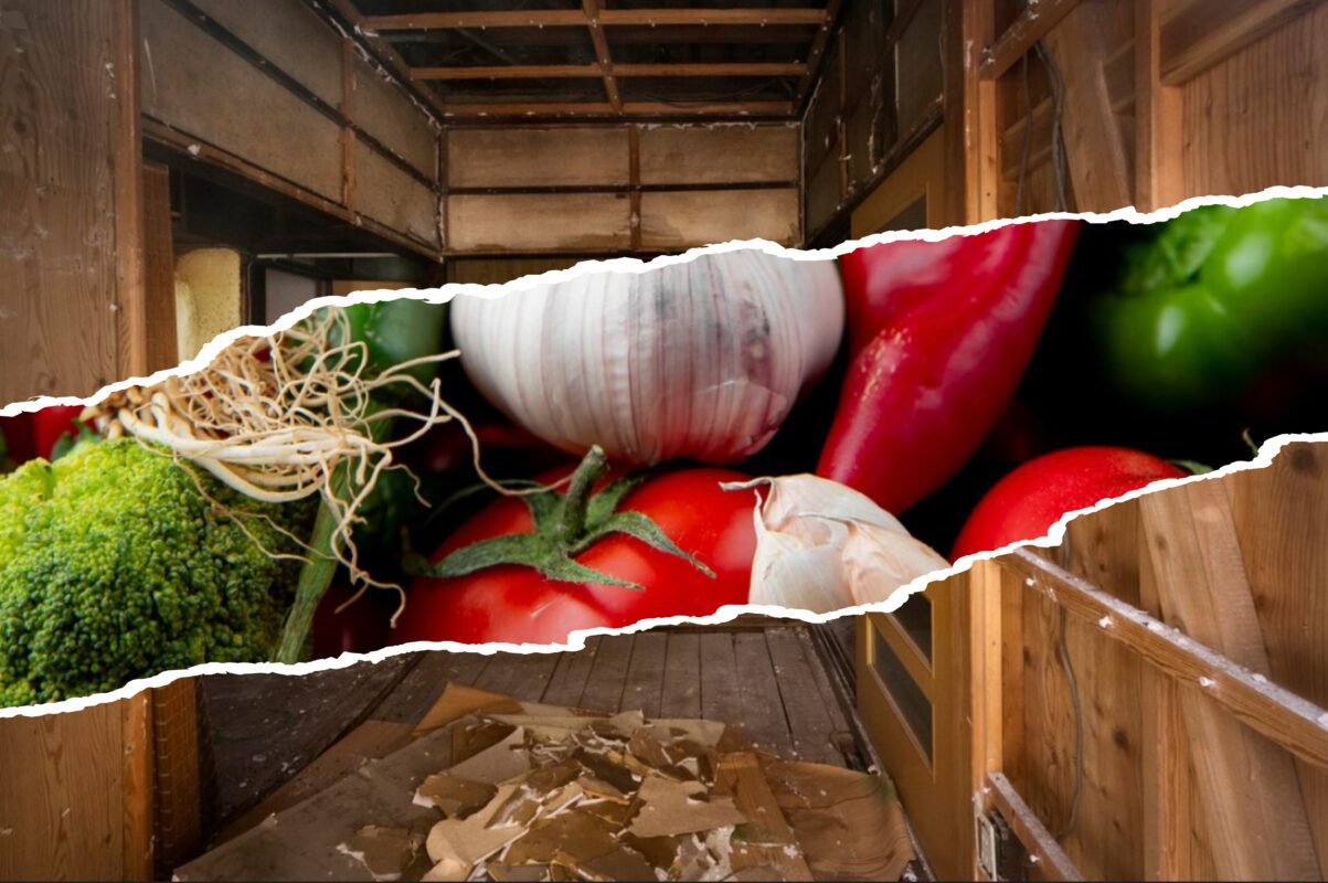 Господині розповіли, як прибрати сирість у підвальних приміщеннях