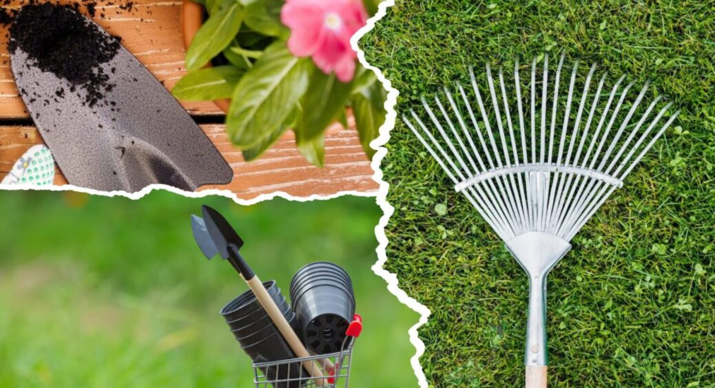 Дешево й сердито – ця обробка працює на 100%: як зберегти садові інструменти чистими до весни 