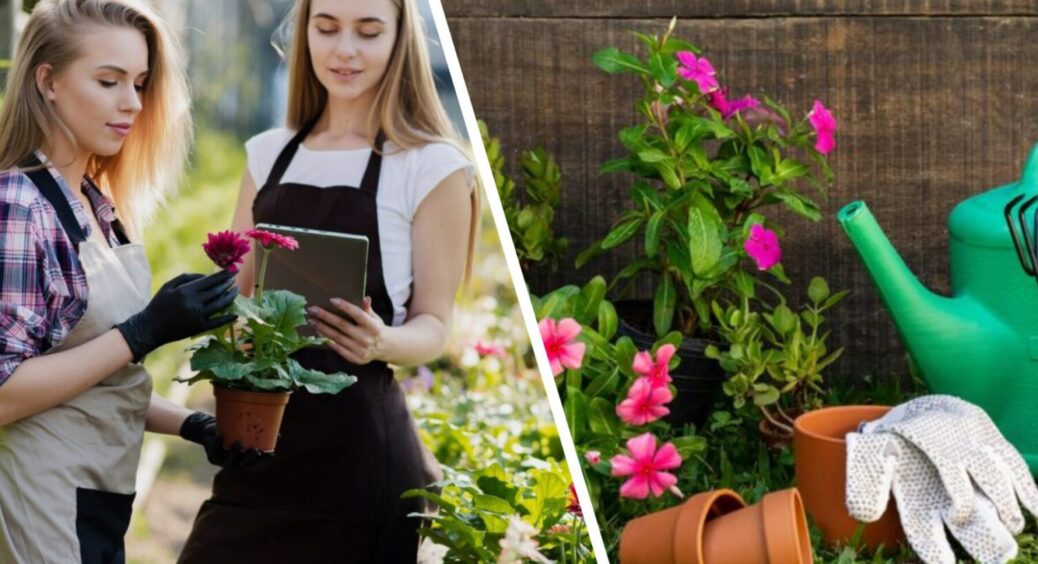 5 порад, що слід зробити: як закрити дачний сезон восени 2025 – на замітку всім городникам 