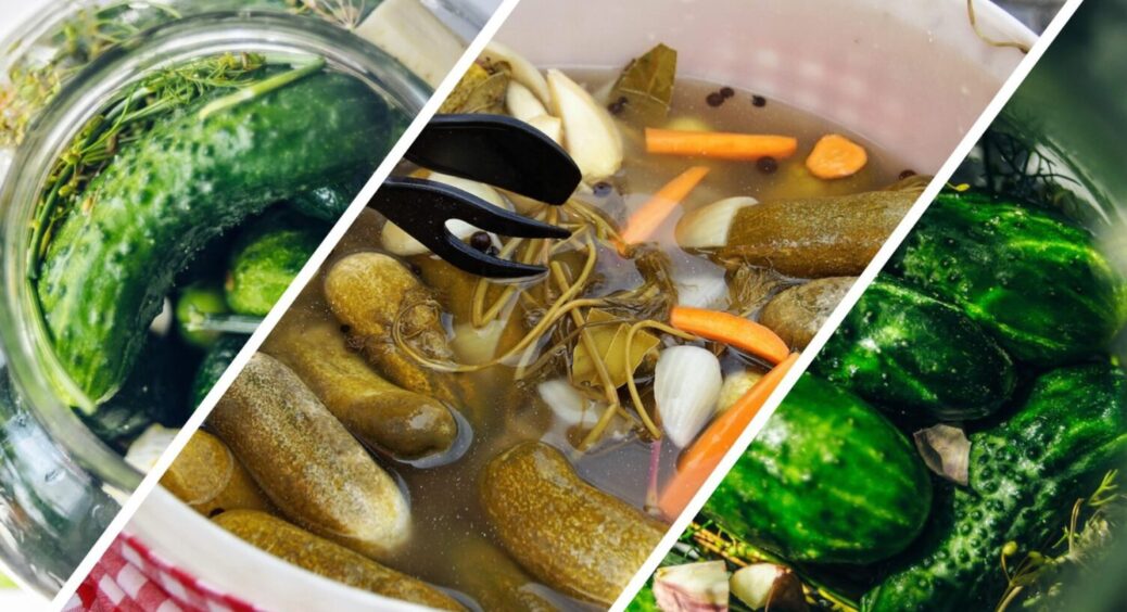 Огірки не хрусткі – рішення є! Що зробити з овочем, щоб він після консервації не був мʼяким 