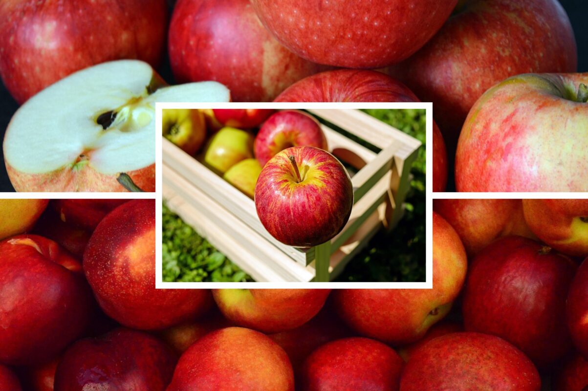 Дачники розповіли, як запобігти гниттю яблук після збору врожаю