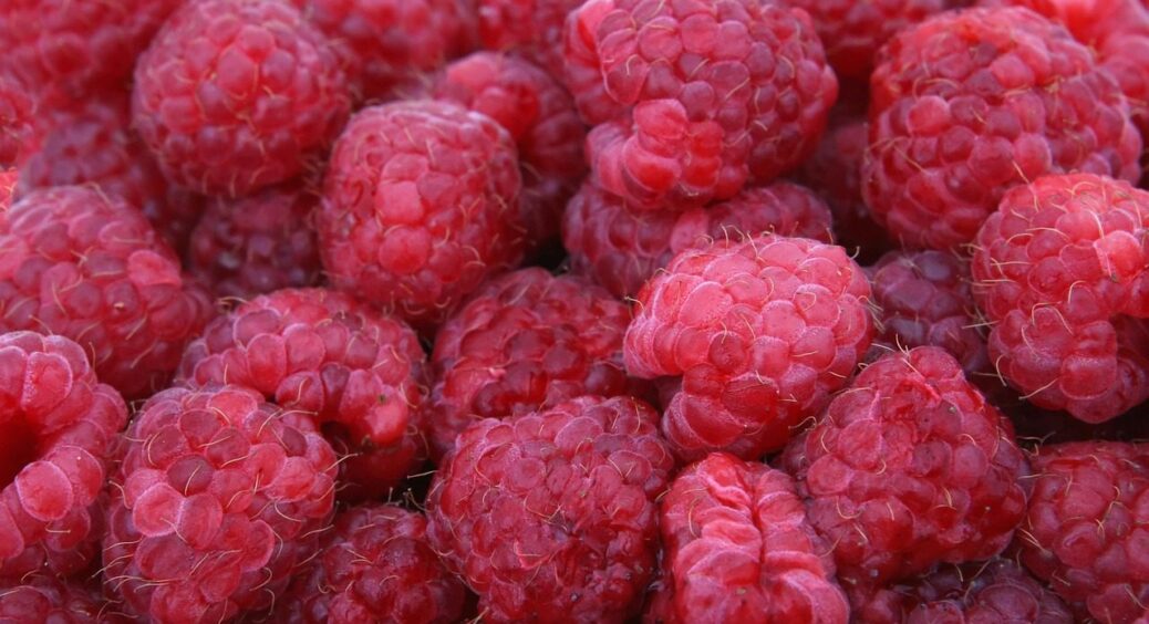 До 15 листопада малині – обов’язково: 2 ключові правила догляду, і сусіди не стримають заздрощів 