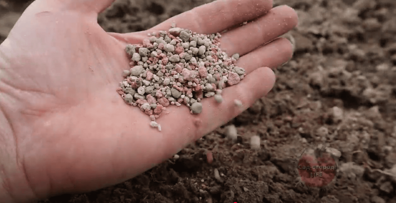 Експерти назвали універсальне добриво, яке замінить 100 інших на городі