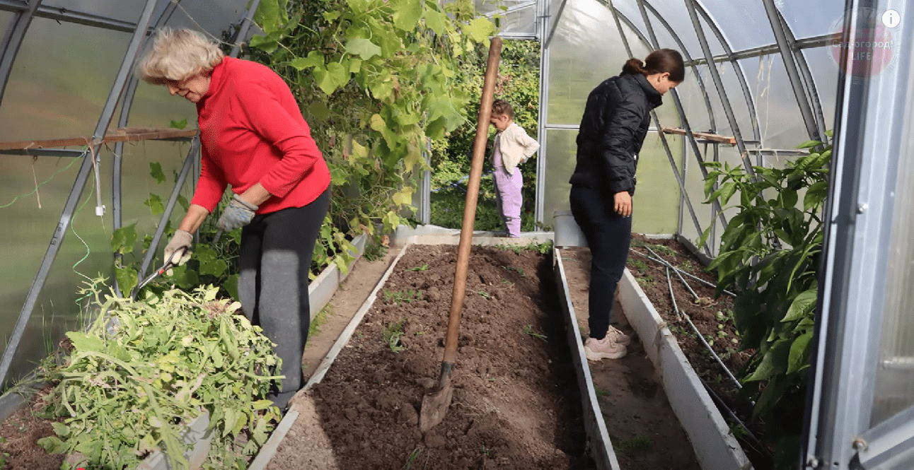 Городники розповіли, що обов'язково потрібно зробити у теплиці восени