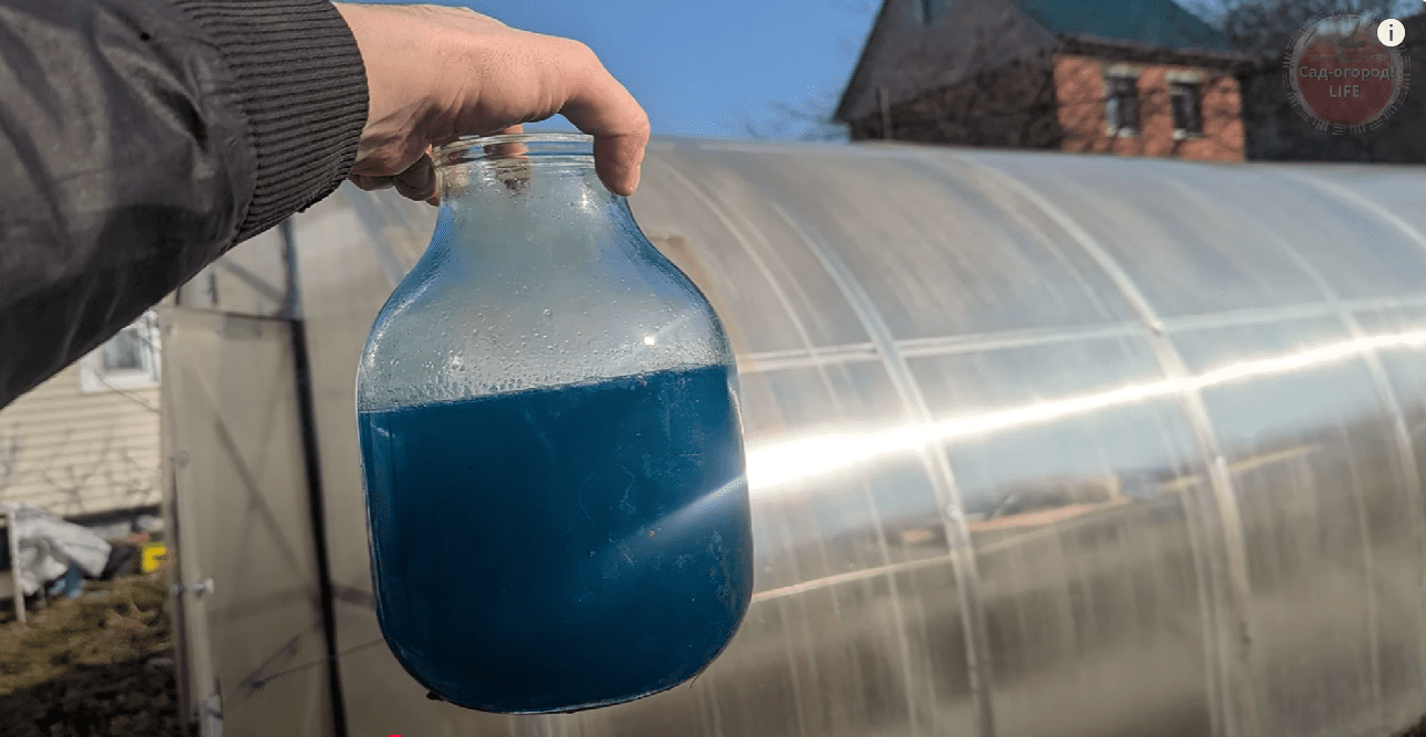 Городники розповіли, що обов'язково потрібно зробити у теплиці восени