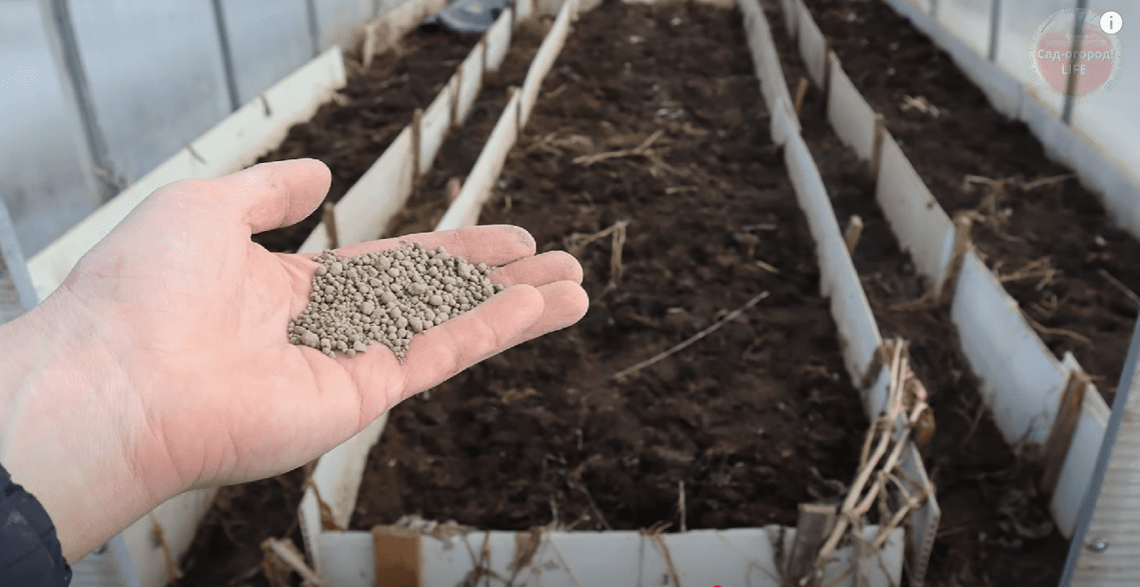 Городники розповіли, що обов'язково потрібно зробити у теплиці восени