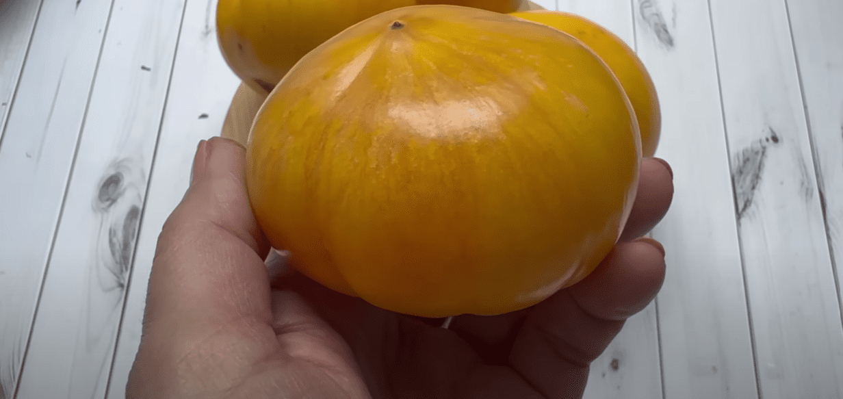 Городники назвали найкращі сорти помідорів: для салату, на сік та консервацію