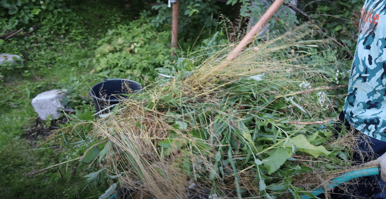 Городники розповіли про засіб, який прискорить дозрівання компосту