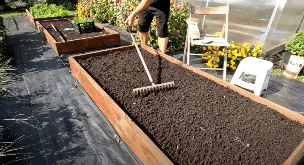 Це простіше, ніж здається: зробіть ґрунт на грядці супер родючим лише за 2 місяці! Без добрив 