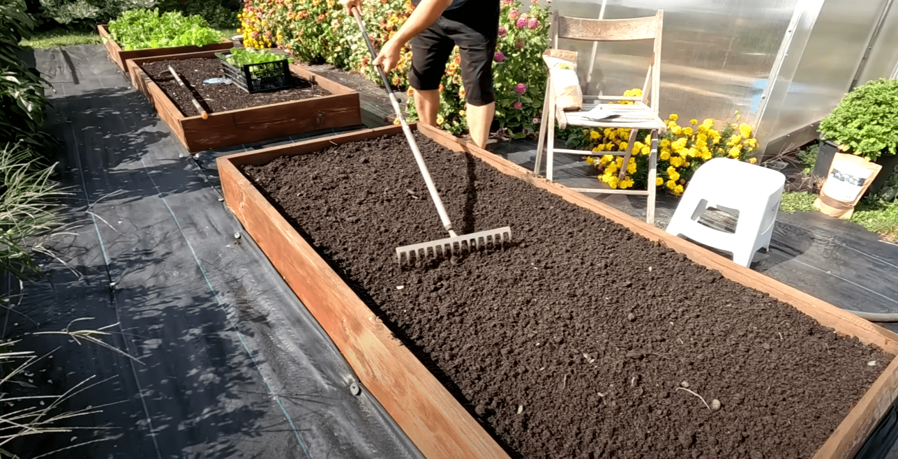 Городники назвали найкращі кальцієві добрива для грядок