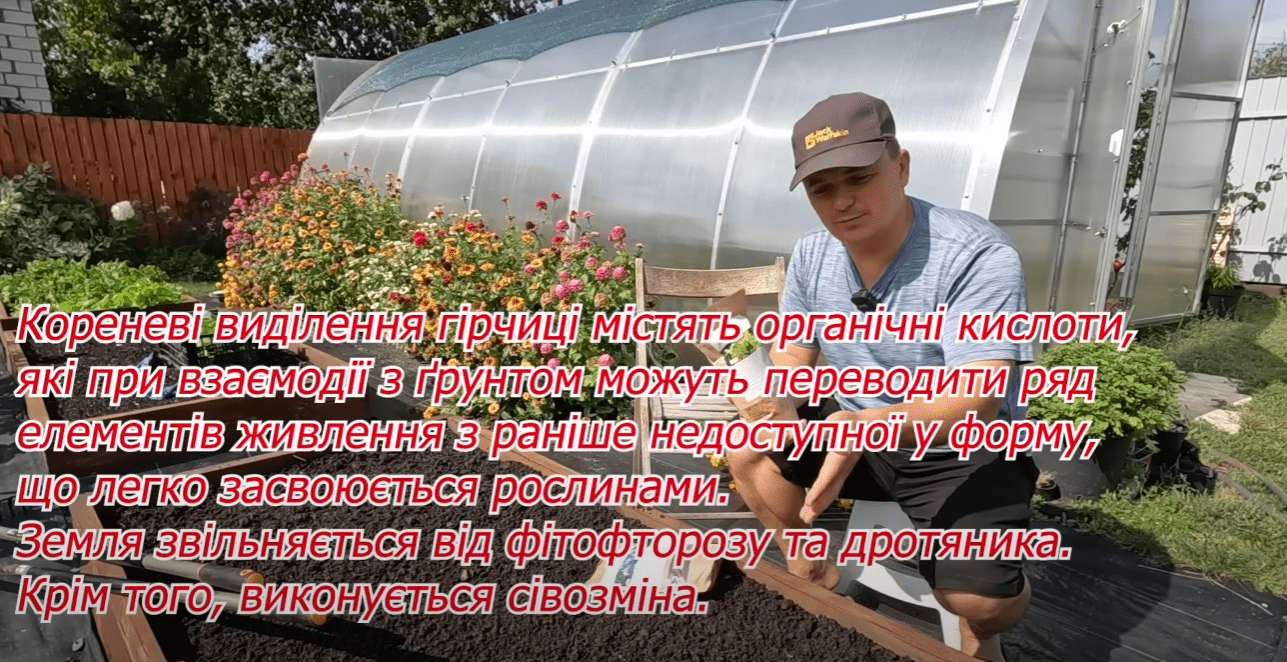 Городники назвали найшвидший спосіб відновлення родючості ґрунту