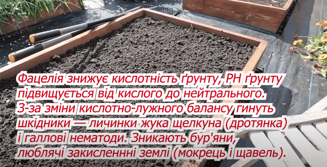 Городники назвали найшвидший спосіб відновлення родючості ґрунту