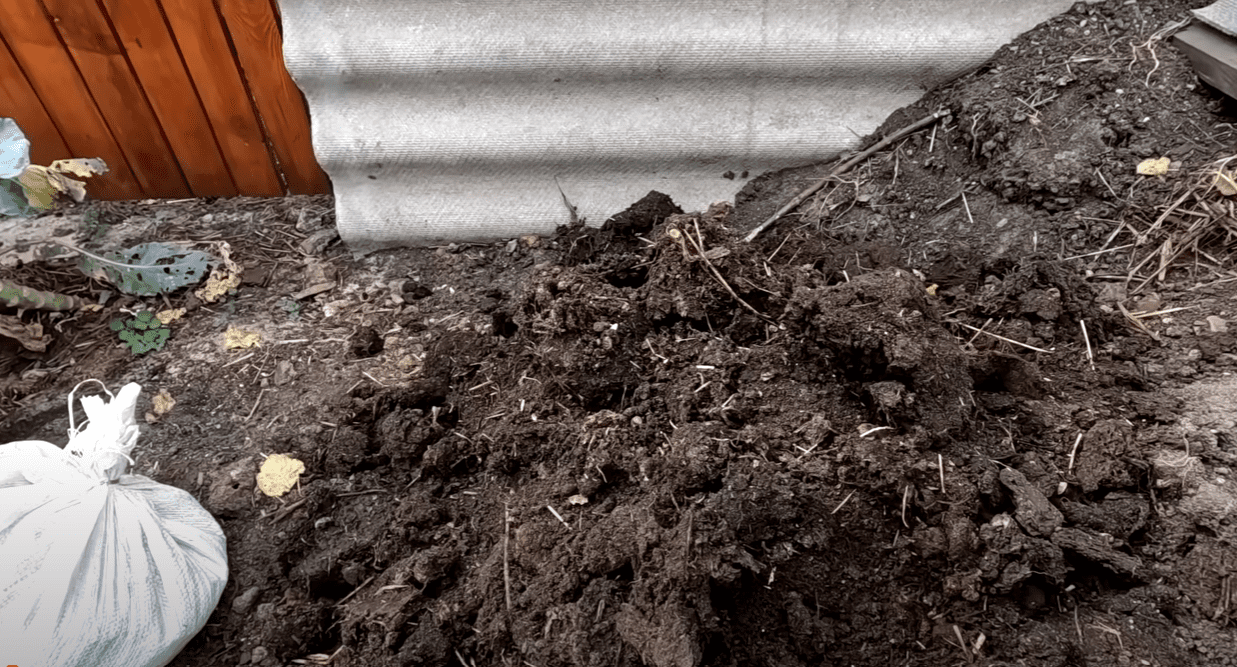 Городник розповів, як швидко перетворити гній у супер-добриво для городу