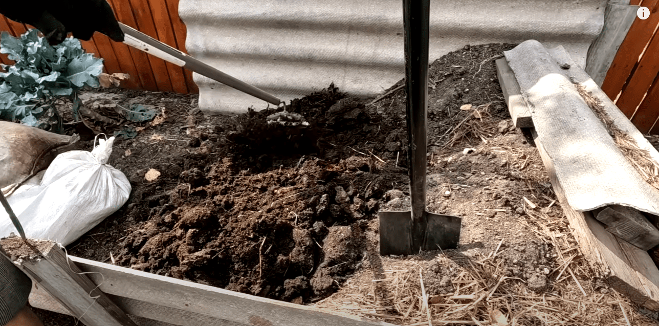 Городник розповів, як швидко перетворити гній у супер-добриво для городу