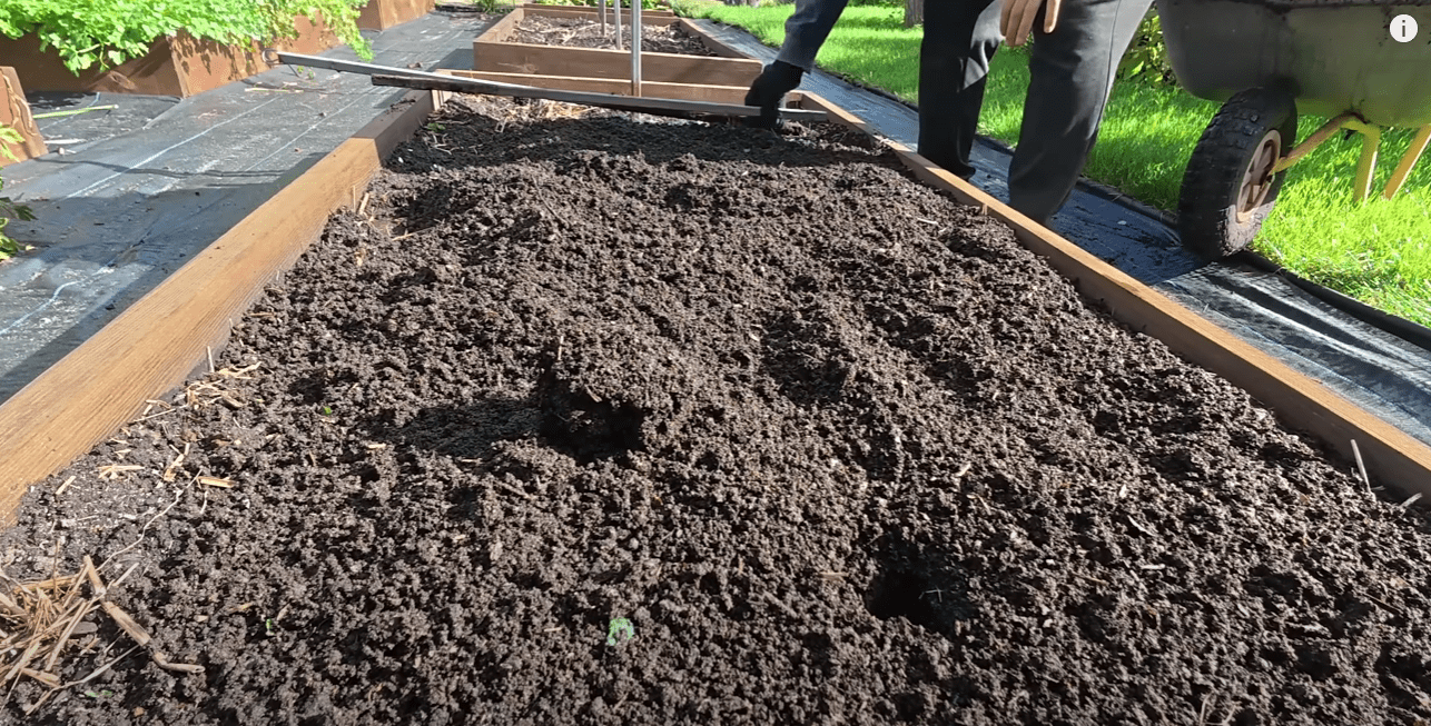 Городники назвали ідеальний компост для родючості грядок 