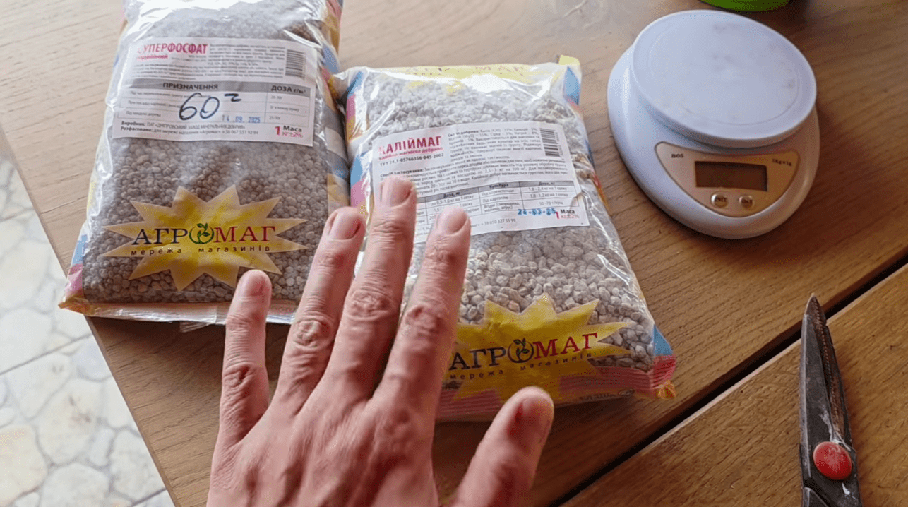 Городник розповів, що потрібно обов'язково внести до ґрунту до кінця жовтня