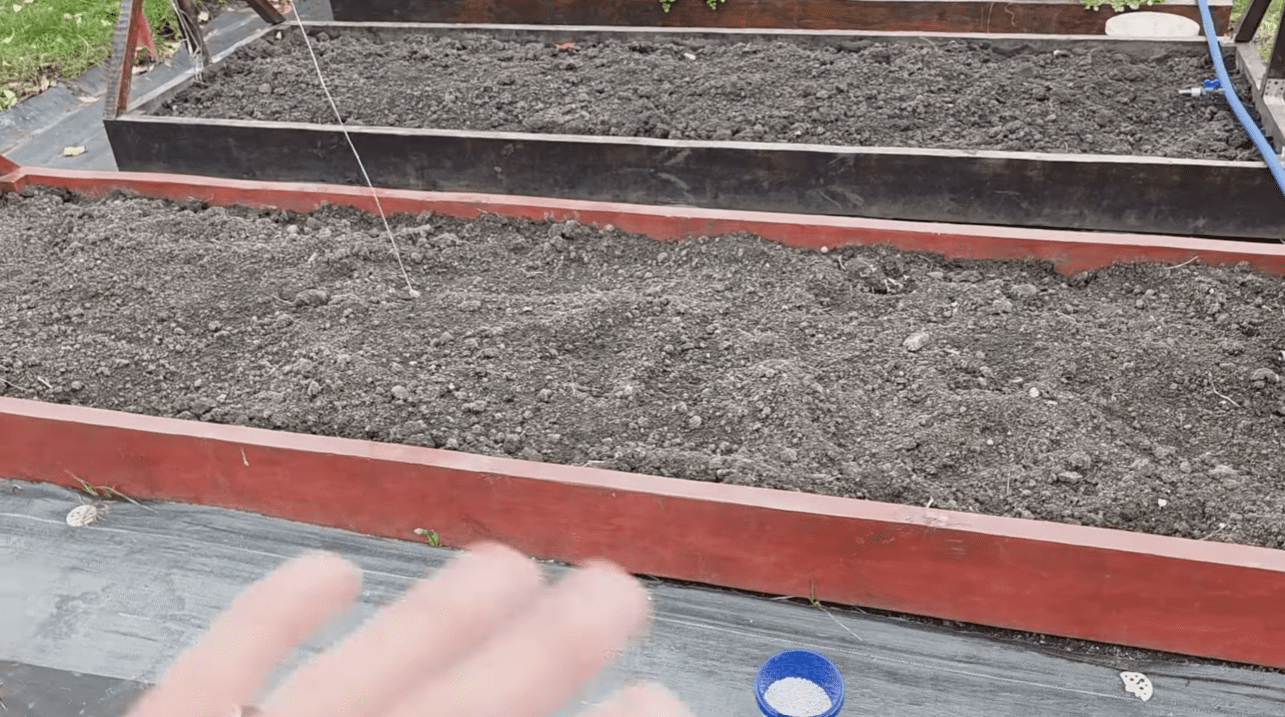 Городник розповів, що потрібно обов'язково внести до ґрунту до кінця жовтня