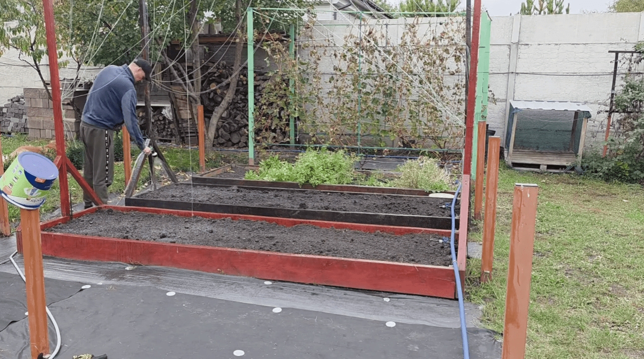 Городники розповіли, як у 3 рази підвищити родючість ґрунту