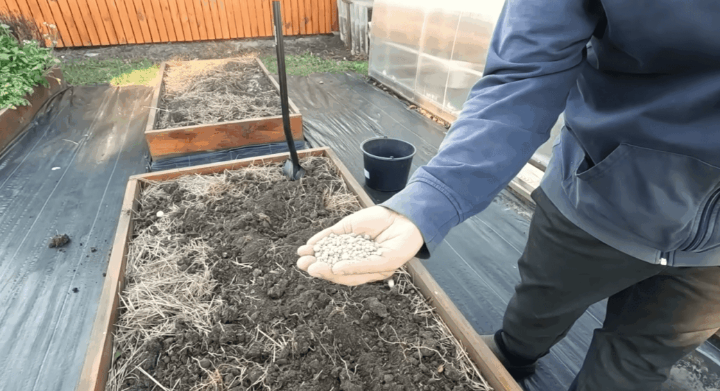 По зарослям хвоща зрозуміла, що земля сильно закислена: ось цей порошок розкислить ґрунт 