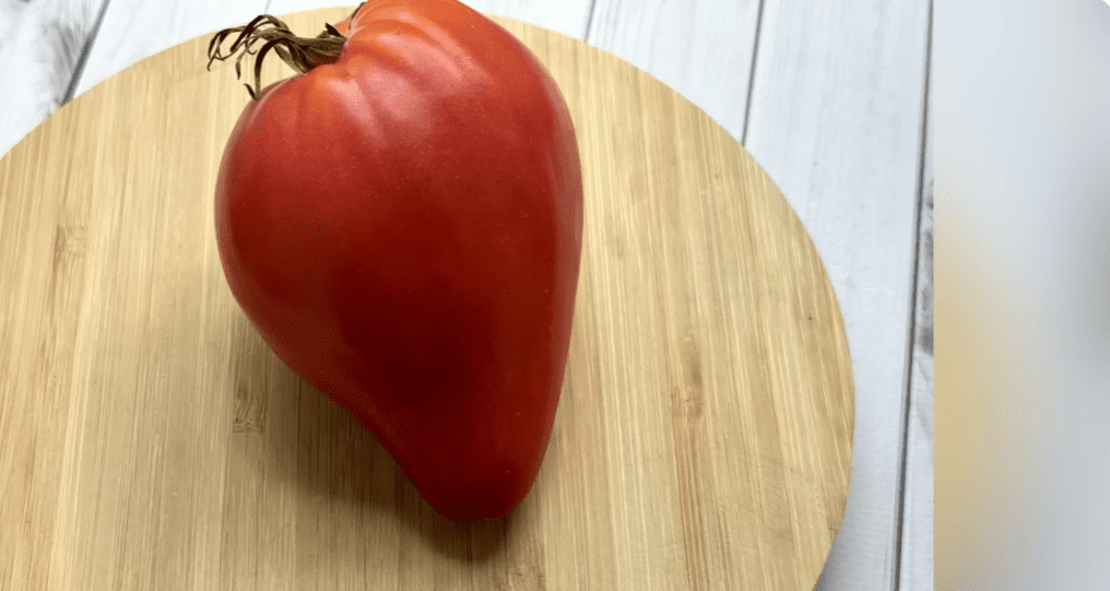 Городники обрали найсмачніші та врожайні томати зі 100 сортів Городники обрали найсмачніші та врожайні томати зі 100 сортів