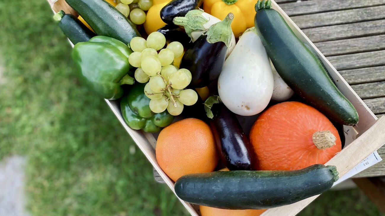 Аграрії назвали культури, що поставлять рекорд урожайності у 2026 році