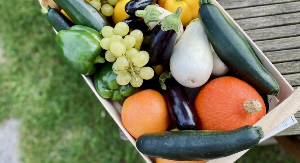 За прогнозами аграріїв у 2026 році 4 культури поб’ють рекорд урожайності – список оприлюднено 