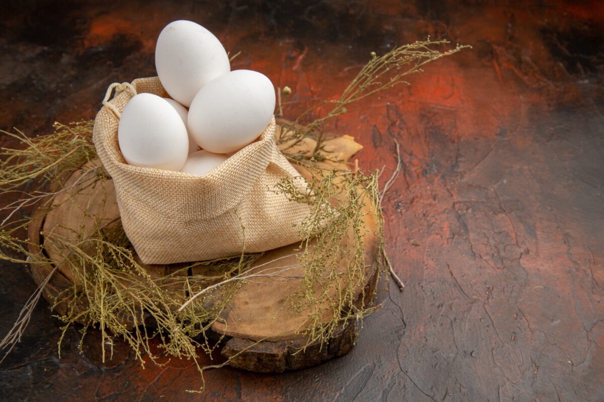 Чим годувати курей взимку, щоб вони добре неслися