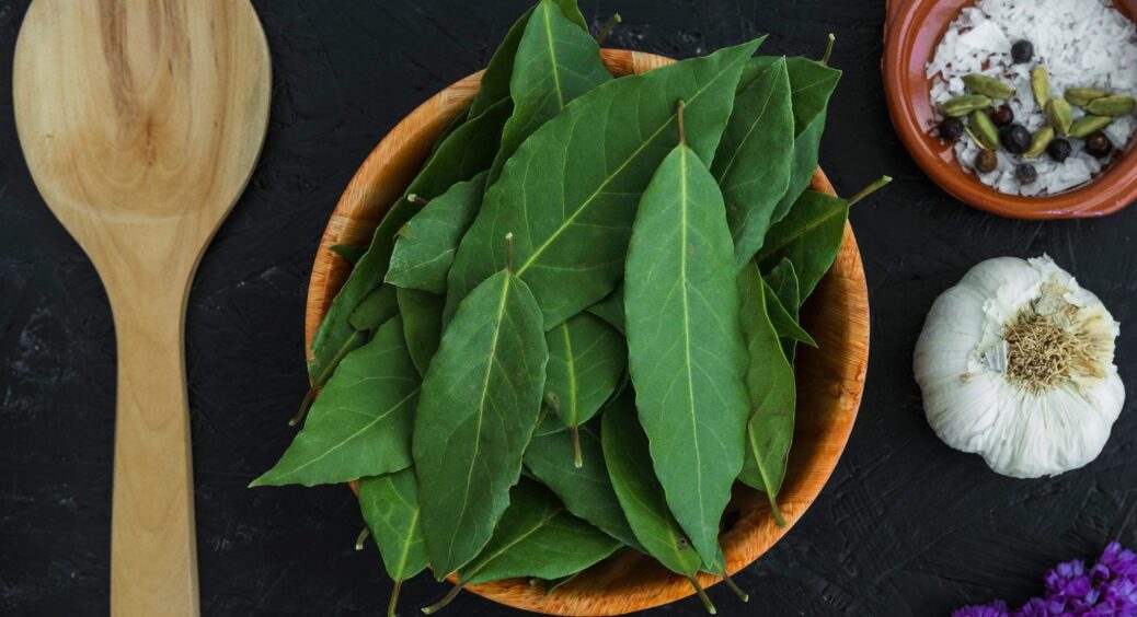 4 таємниці “лаврушки”, про які ви не знали: смакує до супу і здійснює заповітні бажання 