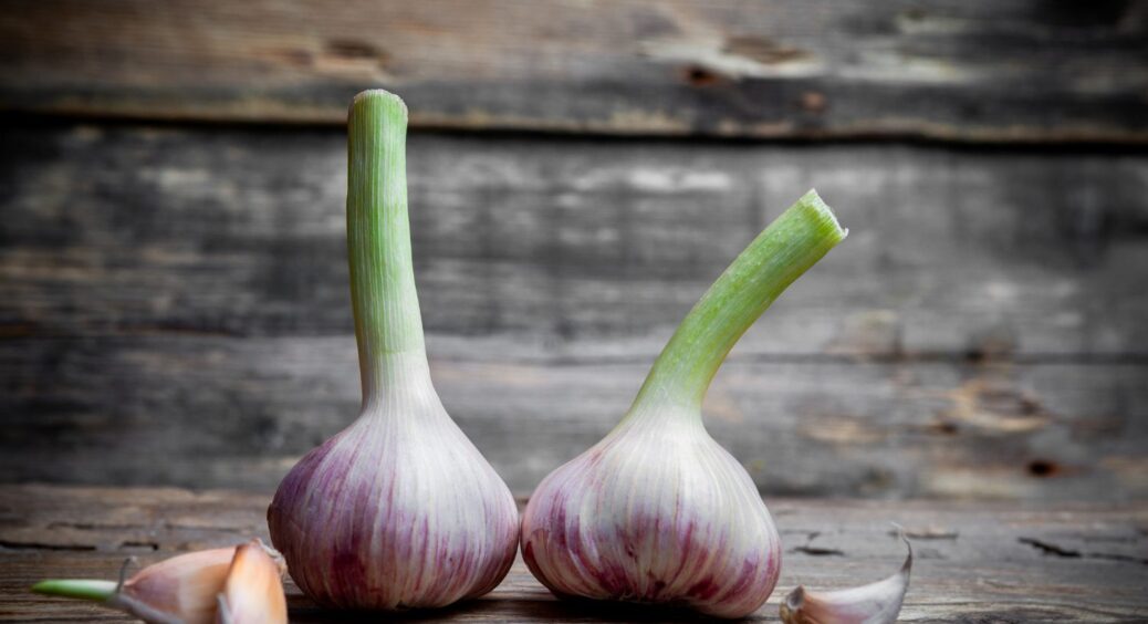 Ніколи не садіть часник біля цих 4-х вибагливих рослин — урожай дрібніє і часто хворіє 