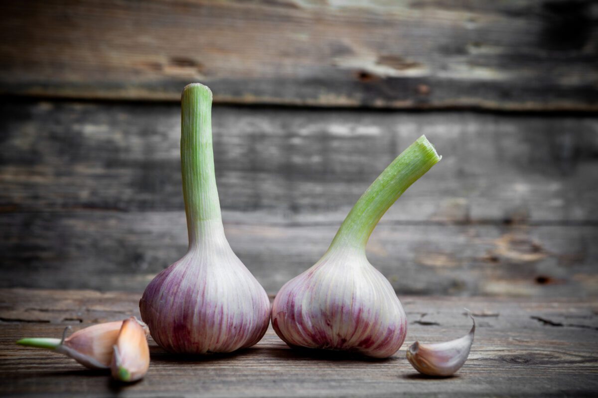 Що зробити, щоб озимий часник не в зелень пішов