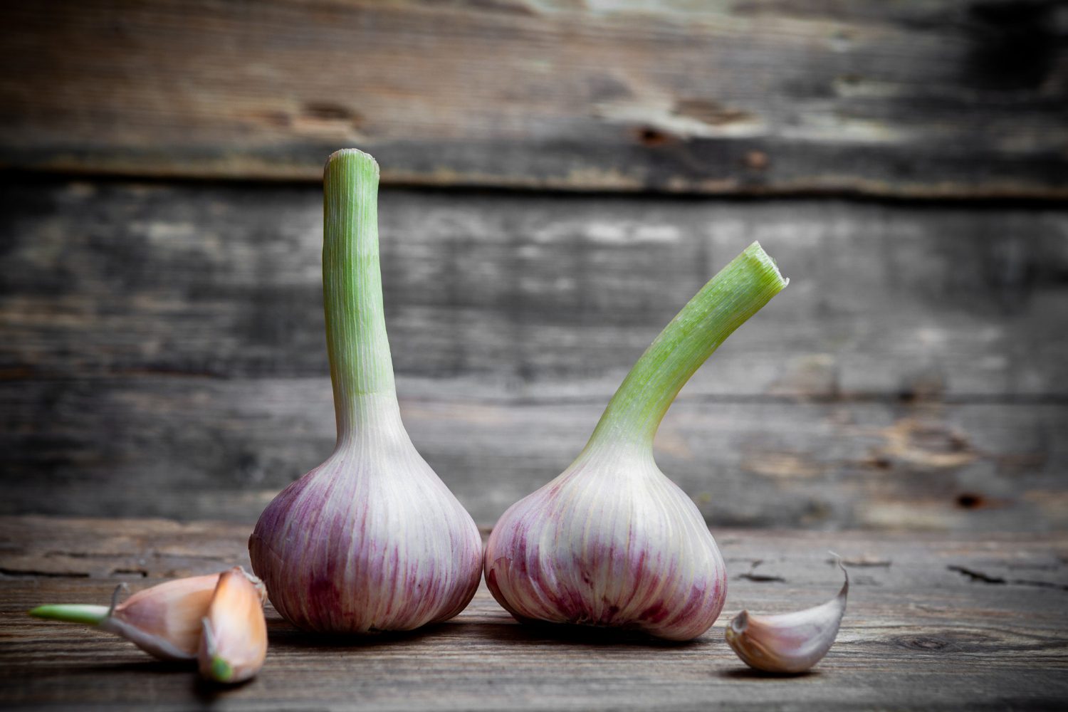Дачники розповіли, що додати до лунки під час посадки озимого часнику