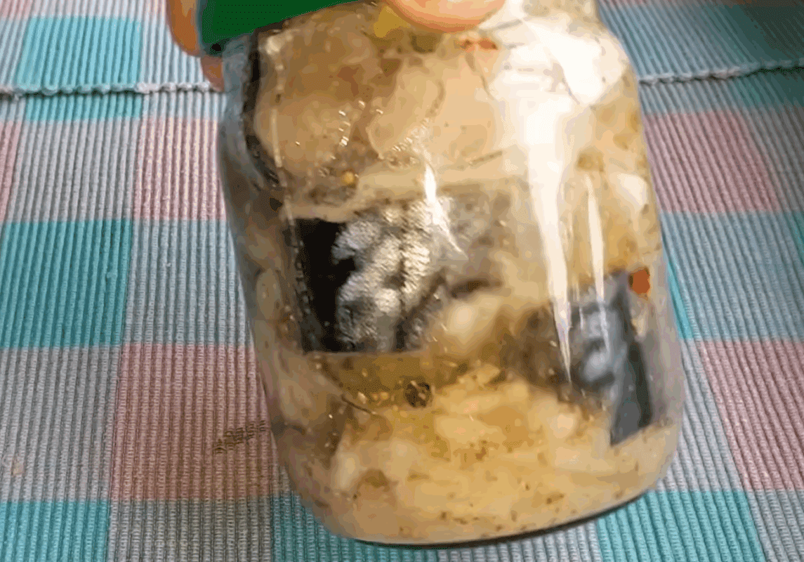 Кулінари розповіли, як приготувати скумбрію, яку не відрізниш від лосося