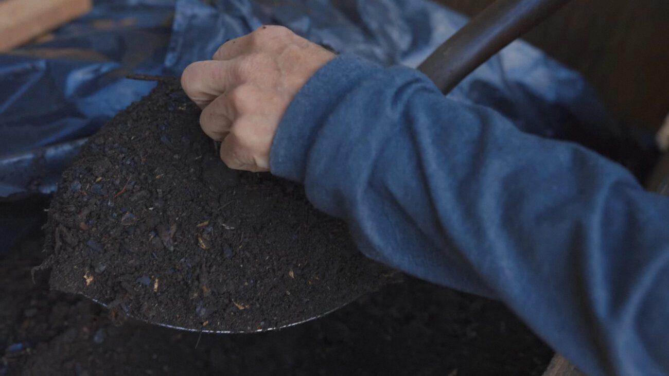 Фермери показали, як готувати поживний біогумус з вугілля вдома
