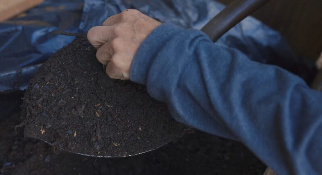 Біовугілля у компості: 1 л на відро – прибирає зайві запахи, а гумус готовий вже через 30 днів 