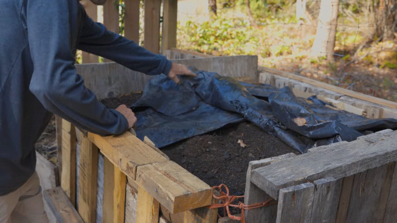 Городники пояснили, як використовувати біовугілля для приготування компосту