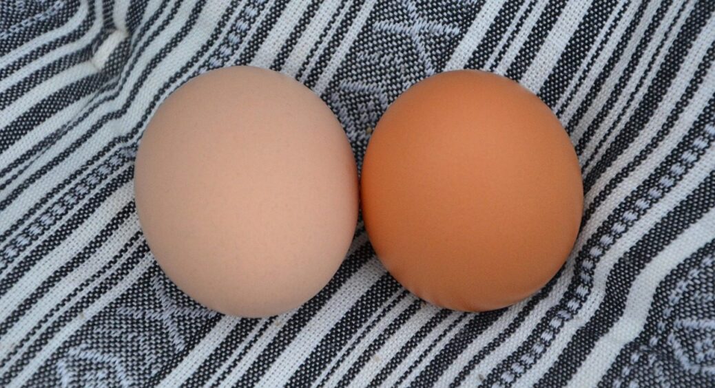 Де зберігати сирі курячі яйця — в холодильнику чи на кухонній полиці: остаточна відповідь експертів 