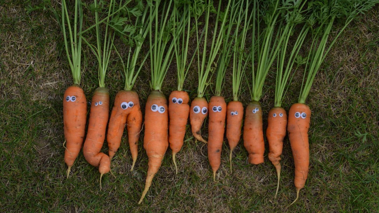 Агрономи пояснили, коли сіяти озимі моркву та цибулю у листопаді