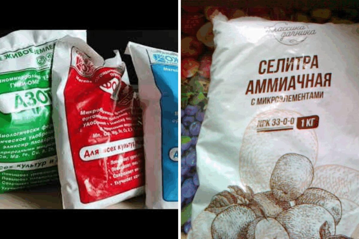 Експерти назвали добрива, які погано переносять зимові холоди