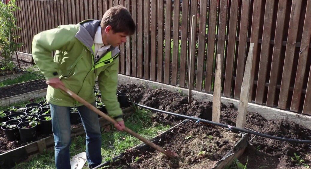 Агрономи всі як 1 кричать: НЕ можна надто часто перекопувати землю на дачі – зворотній ефект 