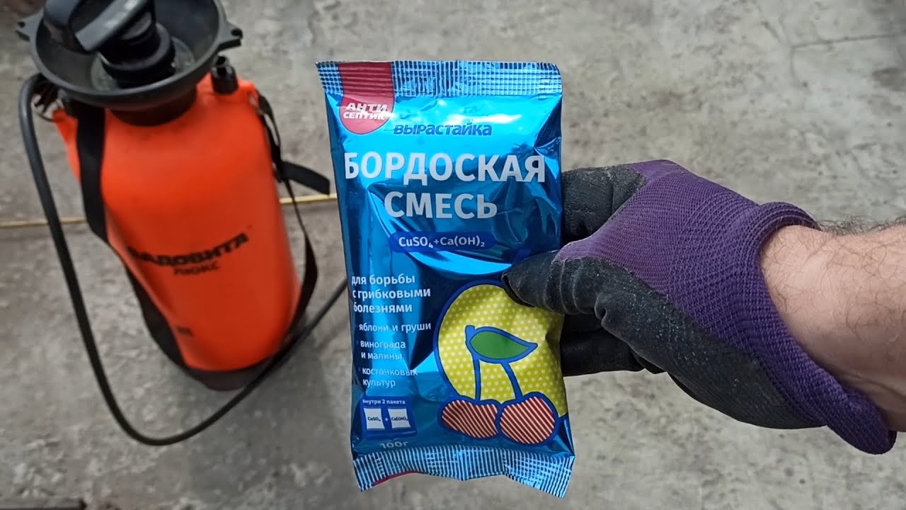 Чим обробити дерева в саду восени