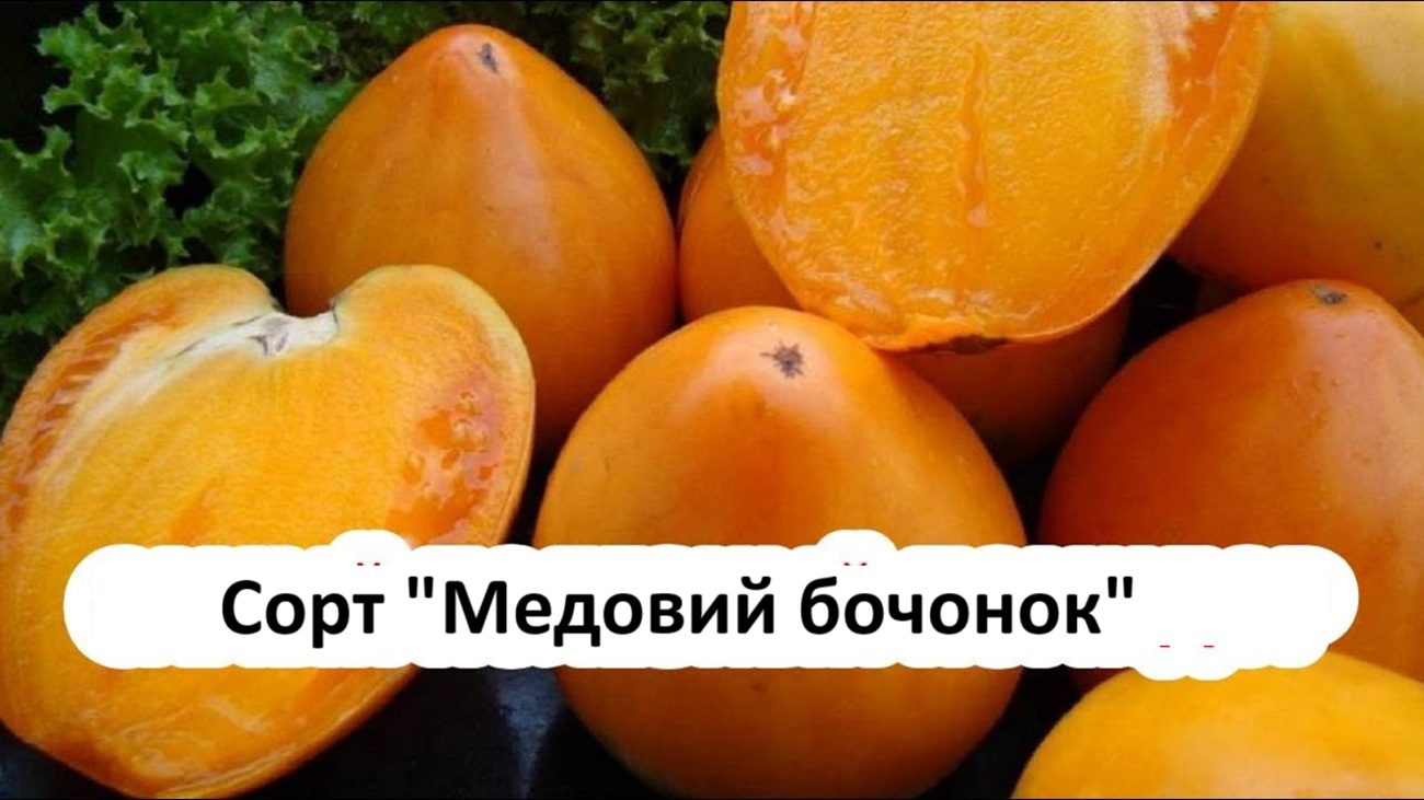 Агрономи назвали найсмачніший сорт помідорів, який дає великий урожай