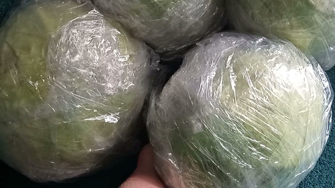 Агрономи розповіли, як зберегти капусту свіжою 7 місяців