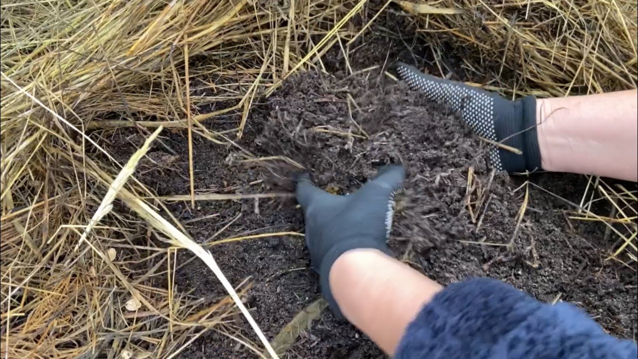 Городники назвали головні ознаки виснаженого ґрунту 