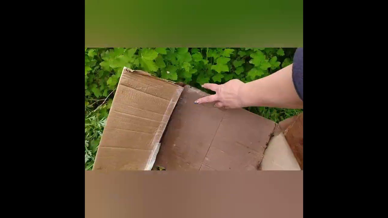 Навіщо на городі використовують картон