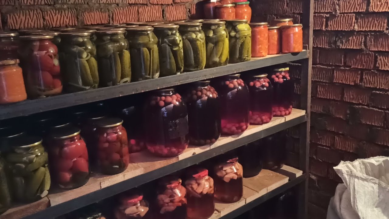 Як прибрати зайву вологість в погребі