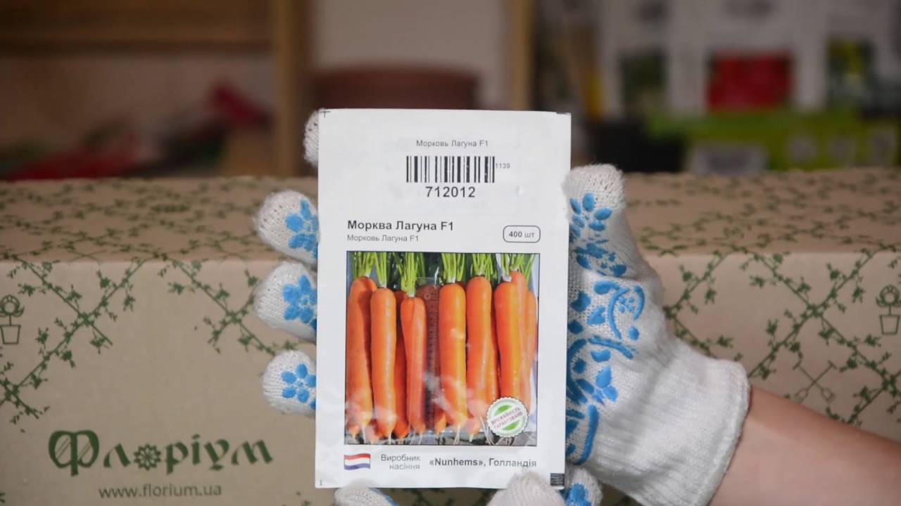 Експерти назвали найкращий сорт ранньостиглої моркви